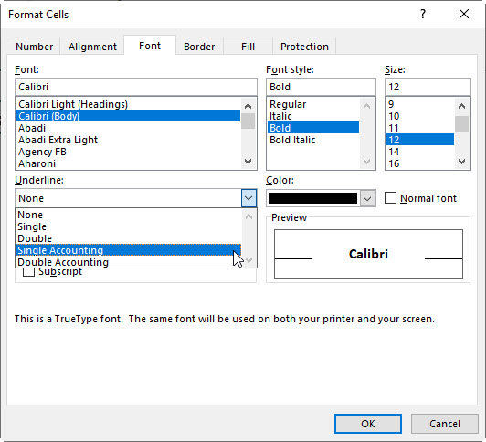 Apply the Single Accounting Underline Format