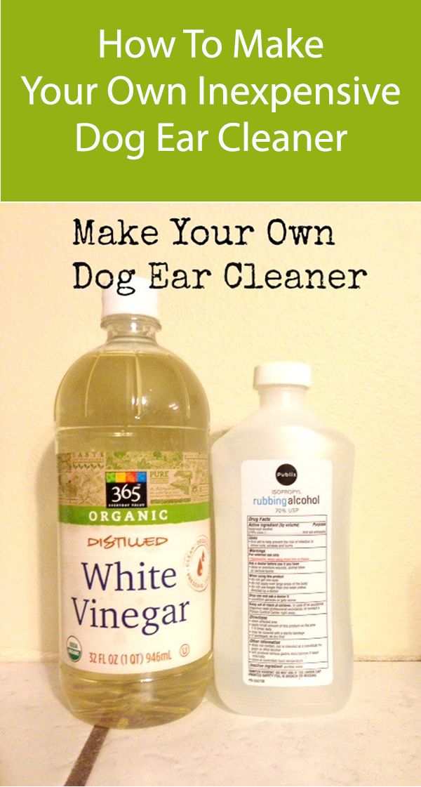 Homemade Dog Ear Cleaner