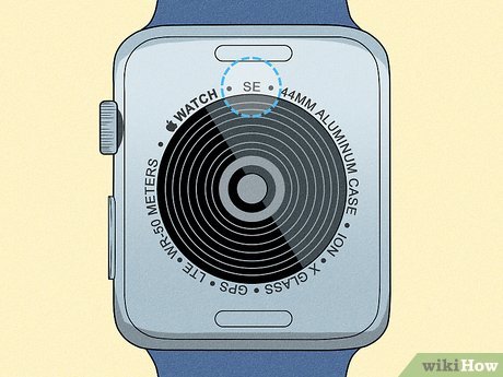 How Do I Know What Size My Apple Watch is