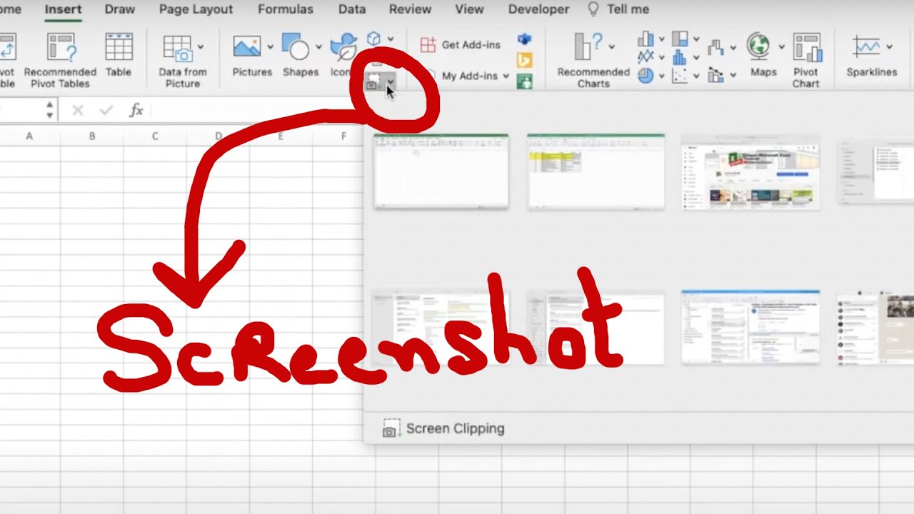 How to Take a Screenshot in Excel